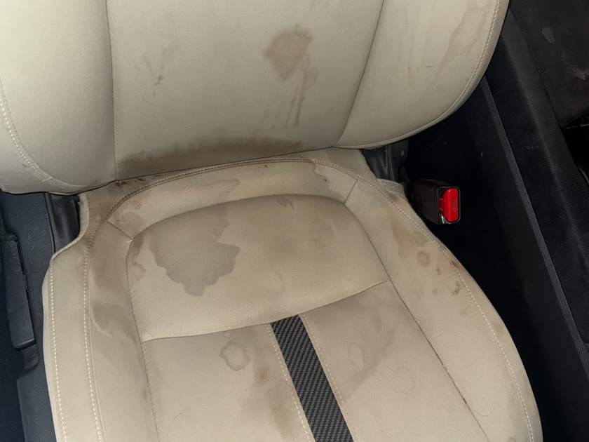 Interior shampoo before